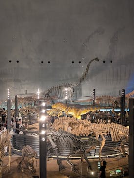 福井県立恐竜博物館に投稿された画像（2024/7/15）