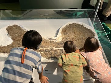 巨大恐竜展2024に投稿された画像（2024/7/15）