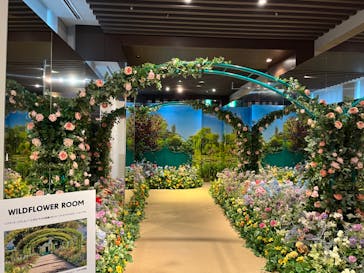 モネ＆フレンズ・アライブに投稿された画像（2024/7/15）