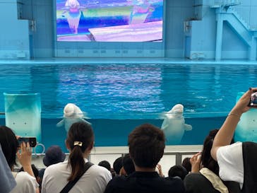 横浜・八景島シーパラダイスに投稿された画像（2024/7/15）