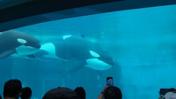 名古屋港水族館に投稿された画像（2024/7/15）