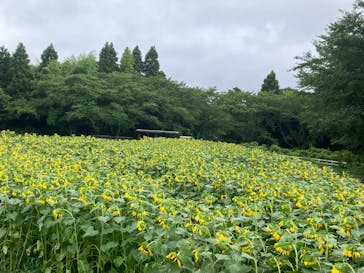 成田ゆめ牧場に投稿された画像（2024/7/15）