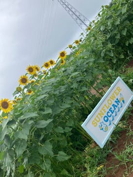 成田ゆめ牧場に投稿された画像（2024/7/15）