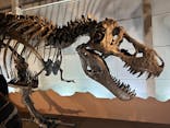 巨大恐竜展2024に投稿された画像（2024/7/15）