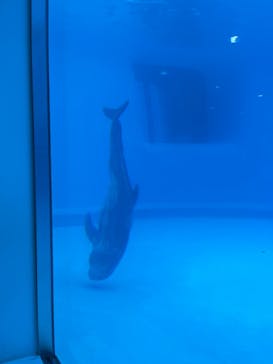 マリンワールド海の中道に投稿された画像（2024/7/15）