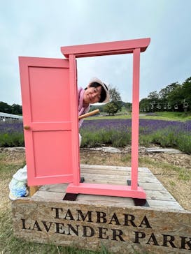 たんばらラベンダーパークに投稿された画像（2024/7/15）