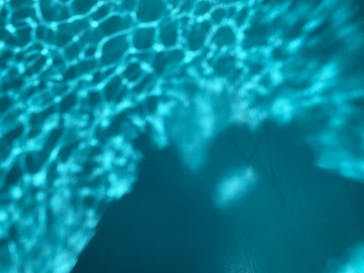 金沢21世紀美術館に投稿された画像（2024/7/15）