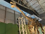 巨大恐竜展2024に投稿された画像（2024/7/15）