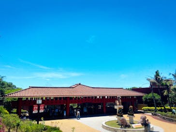 おきなわワールドに投稿された画像（2024/7/15）