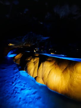 おきなわワールドに投稿された画像（2024/7/15）