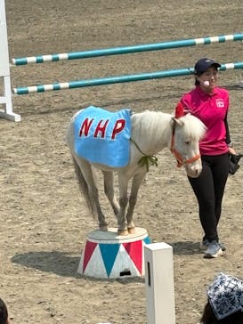 ノーザンホースパークに投稿された画像（2024/7/15）