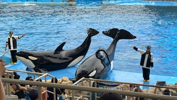 名古屋港水族館に投稿された画像（2024/7/15）
