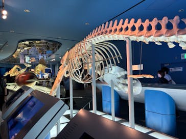 名古屋港水族館に投稿された画像（2024/7/15）