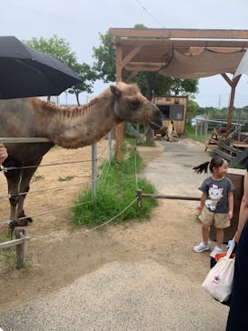 神戸どうぶつ王国に投稿された画像（2024/7/15）