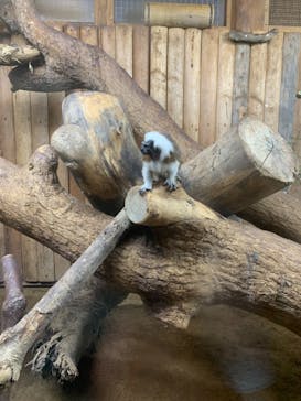 神戸どうぶつ王国に投稿された画像（2024/7/15）