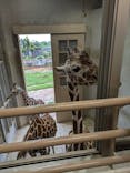 日立市かみね動物園に投稿された画像（2024/7/15）