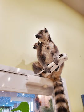 アニタッチPARKイオンモール太田に投稿された画像（2024/7/15）