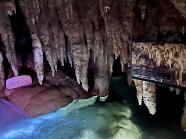 おきなわワールドに投稿された画像（2024/7/15）