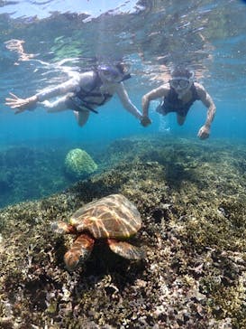 初心者専門宮古島シュノーケリングツアーに投稿された画像（2024/7/15）