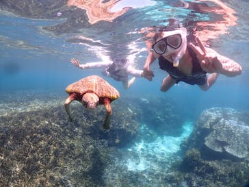 初心者専門宮古島シュノーケリングツアーに投稿された画像（2024/7/15）