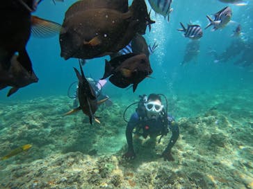 沖縄マリンサービス碧に投稿された画像（2024/7/15）