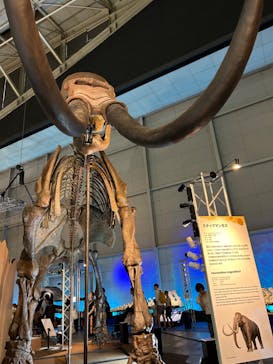 巨大恐竜展2024に投稿された画像（2024/7/15）