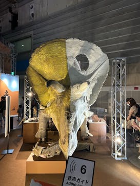 巨大恐竜展2024に投稿された画像（2024/7/15）