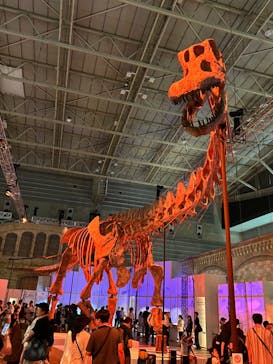 巨大恐竜展2024に投稿された画像（2024/7/15）