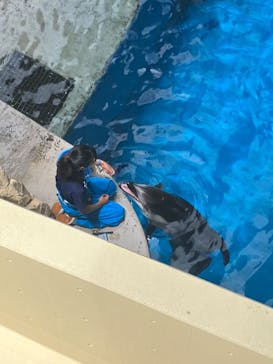 新江ノ島水族館に投稿された画像（2024/7/15）