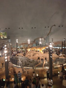 福井県立恐竜博物館に投稿された画像（2024/7/15）