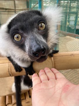 東北サファリパークに投稿された画像（2024/7/15）