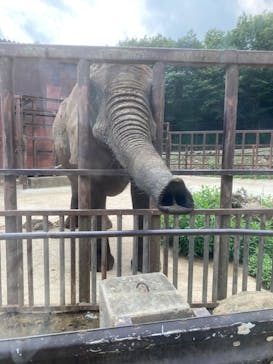 東北サファリパークに投稿された画像（2024/7/15）