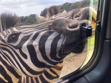 東北サファリパークに投稿された画像（2024/7/15）