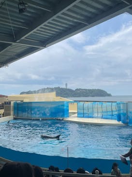 新江ノ島水族館に投稿された画像（2024/7/15）