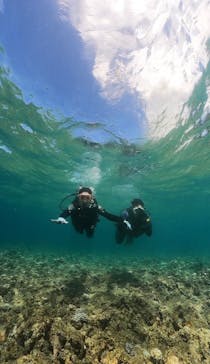 武藤潜水に投稿された画像（2024/7/15）