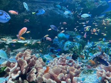 マクセル アクアパーク品川に投稿された画像（2024/7/15）