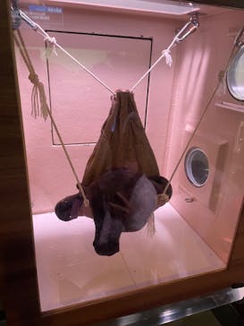 マクセル アクアパーク品川に投稿された画像（2024/7/15）