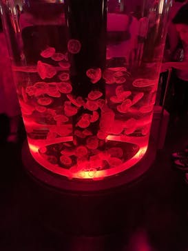 マクセル アクアパーク品川に投稿された画像（2024/7/15）