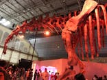 巨大恐竜展2024に投稿された画像（2024/7/15）