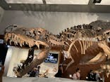 DinoScience 恐竜科学博 ～ララミディア大陸の恐竜物語～ 2024@OSAKAに投稿された画像（2024/7/15）