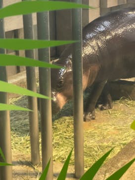 NIFREL（ニフレル）に投稿された画像（2024/7/15）