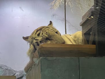 NIFREL（ニフレル）に投稿された画像（2024/7/15）