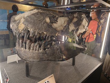 福井県立恐竜博物館に投稿された画像（2024/7/15）