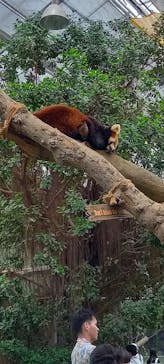 神戸どうぶつ王国に投稿された画像（2024/7/15）