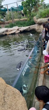 神戸どうぶつ王国に投稿された画像（2024/7/15）