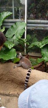 神戸どうぶつ王国に投稿された画像（2024/7/15）