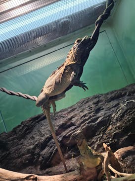 サンシャイン水族館に投稿された画像（2024/7/15）