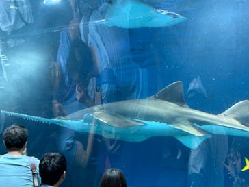 マクセル アクアパーク品川に投稿された画像（2024/7/15）