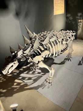 福井県立恐竜博物館に投稿された画像（2024/7/15）