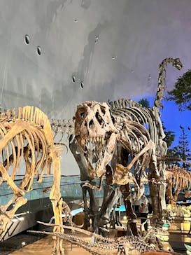 福井県立恐竜博物館に投稿された画像（2024/7/15）